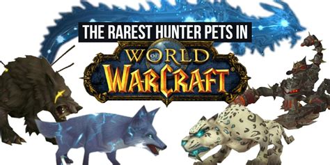 hunter pets wow|hunter pet locations wow.